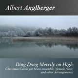 Albert Anglberger - Ding Dong Merrily on High 160